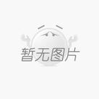 建團(tuán)隊(duì).創(chuàng)機(jī)制.育文化